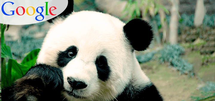 4 Algoritmos de SEO do Google que você precisa Domar 1 google-panda