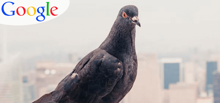 4 Algoritmos de SEO do Google que você precisa Domar 4 google-pompo