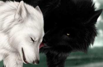 Marketing Digital por Joelson Dantas 13 como conviver com dois lobos em casas
